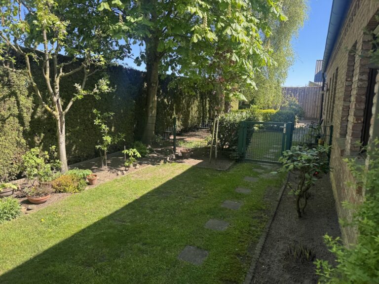 Garten Rückseite